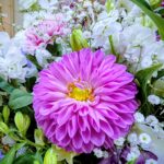 pxl_20260222_0952564762