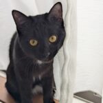 pxl_20260308_002030865-jpg%e3%82%ad%e3%82%ad