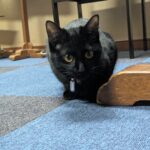 pxl_20260318_075611294-long_exposure-02-original-%ef%bd%8a%ef%bd%90%ef%bd%87%e3%82%ad%e3%82%ad%e5%be%a1%e5%ae%88%e5%a4%a7